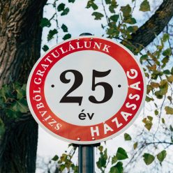 25 Házassági évforduló tábla - Szívből gratulálunk!